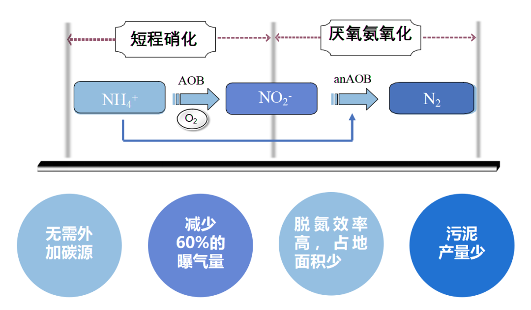 VSport - 成功因您更精彩(中国)集团有限公司-Official website