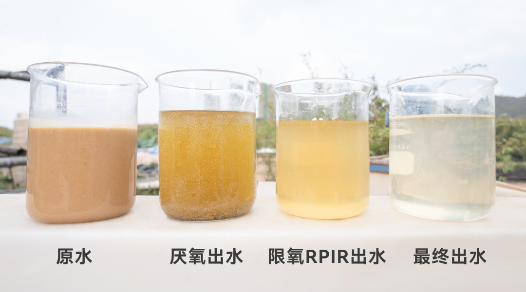 VSport - 成功因您更精彩(中国)集团有限公司-Official website