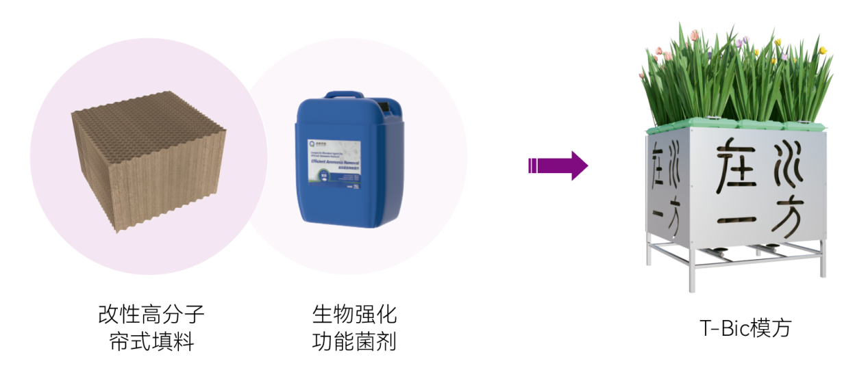 VSport - 成功因您更精彩(中国)集团有限公司-Official website